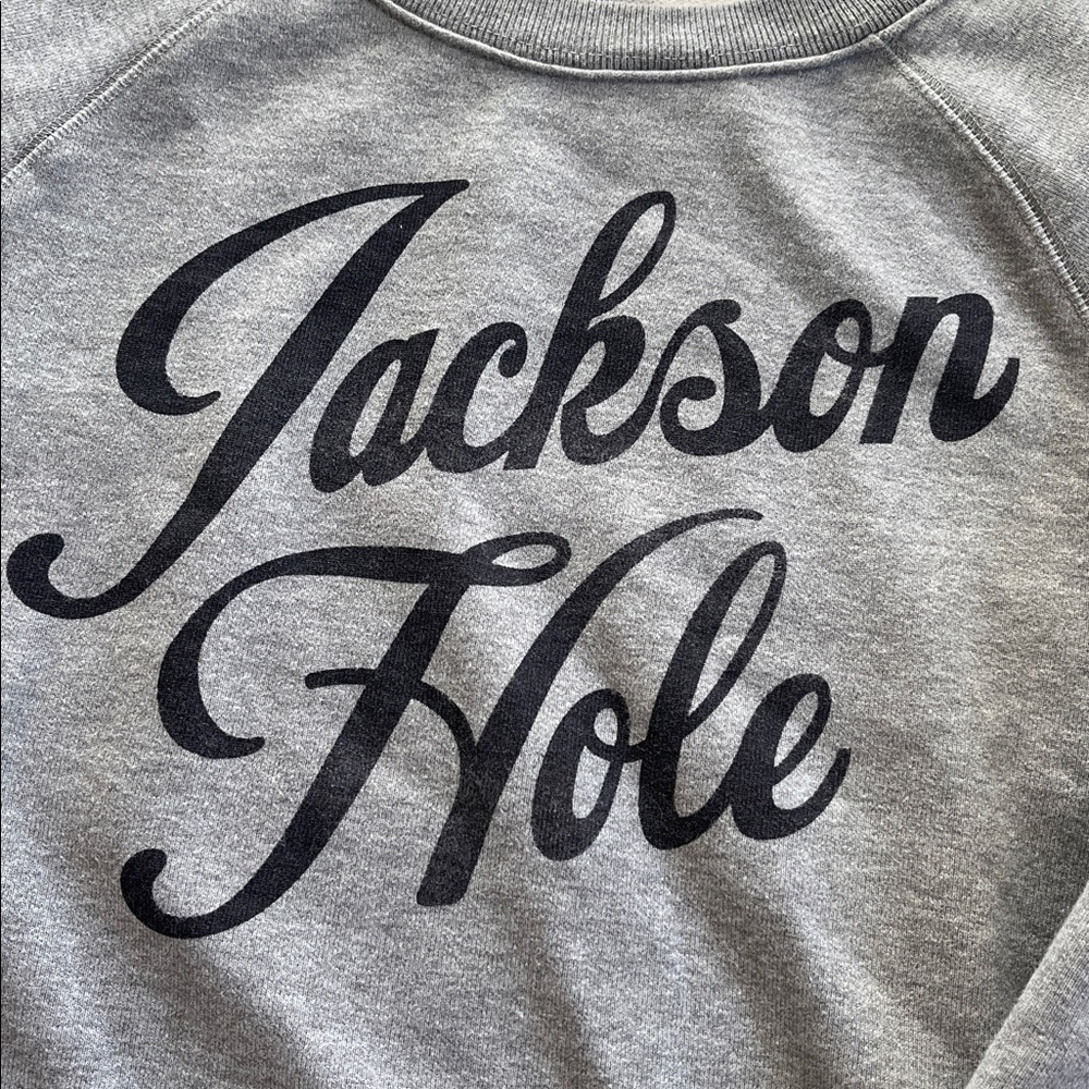 J. Crew Heather Gray Jackson Hole Sweatshirt - Picture 2 of 3